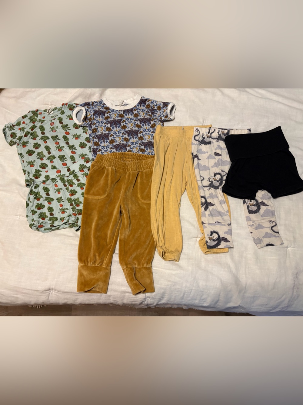 Kate Quinn Bundle houseplants, moths, dragons, little Liam shorts 18-24